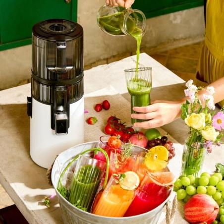Extracteur de jus ou centrifugeuse : guide pour bien choisir