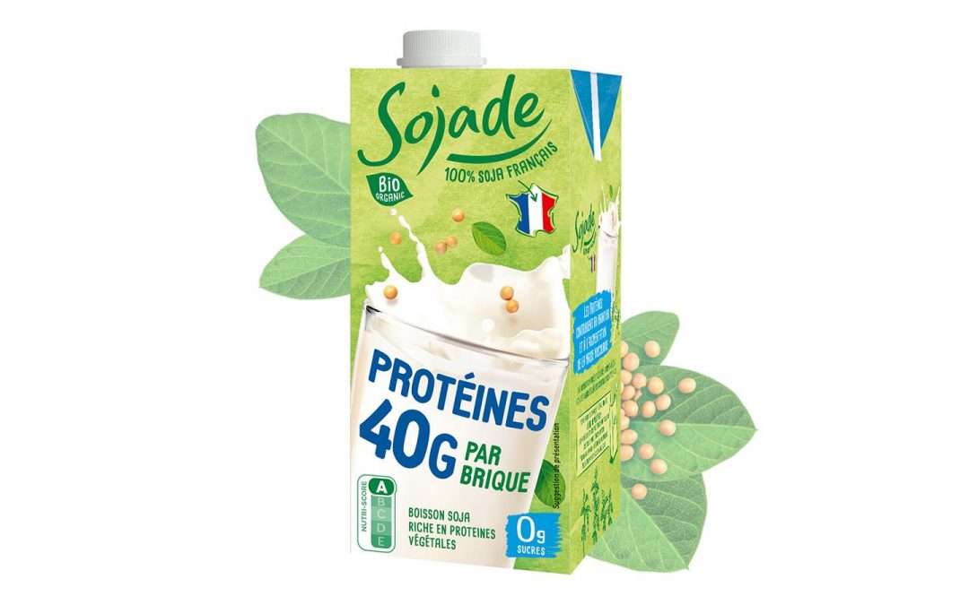 Comment réaliser des jus protéinés à base de végétaux