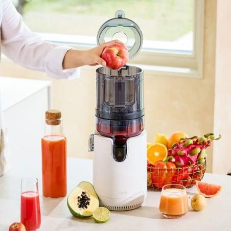 Les nouveautés dans les moteurs électriques haute performance pour extracteurs de jus