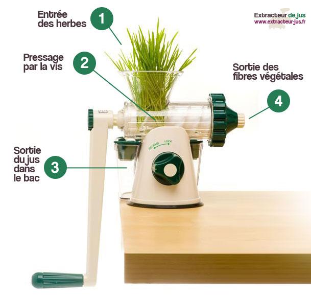 Les meilleurs extracteurs de jus pour les herbes et les pousses