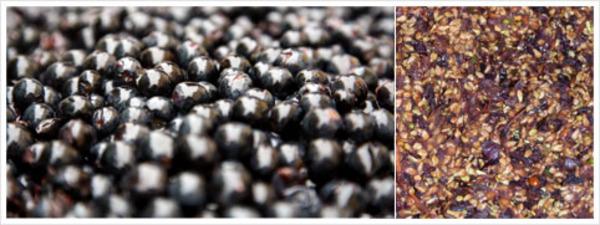 Réduire les résidus dans vos jus grâce à un bon entretien